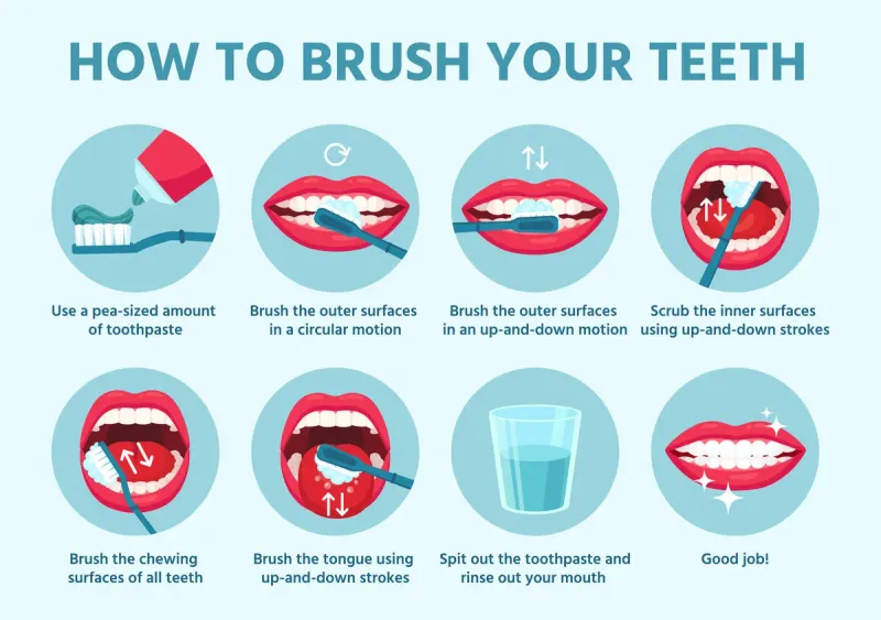Mastering the Art of Brushing: A Dentist's Guide